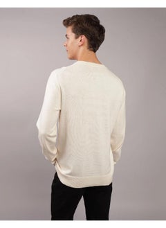 AE Crew Neck Sweater - pzsku/ZB436CE53AD66BA99260FZ/45/_/1741184626/2165e5d9-443e-4474-8371-ce71ad72d175