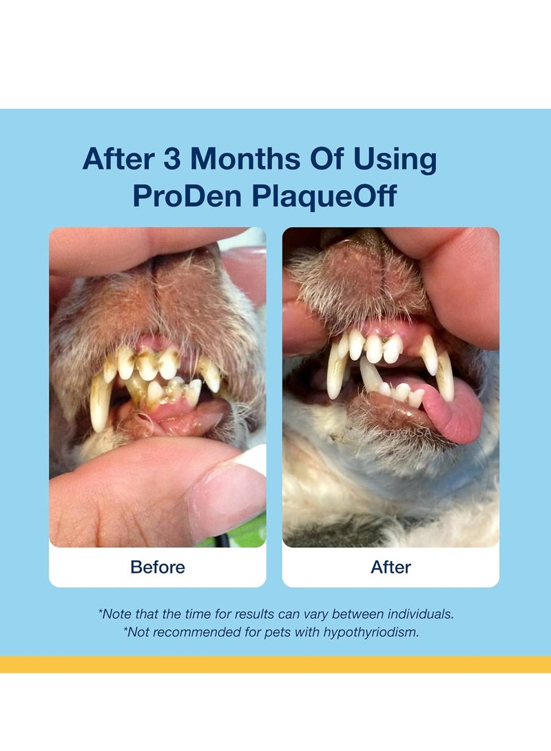 ProDen PlaqueOff 60 Soft Chews 100 percent Natural Plaque Tartar and Bad Breath Remover for Large Dogs Works Systemically Not by Abrasion or Chewing - Image 5