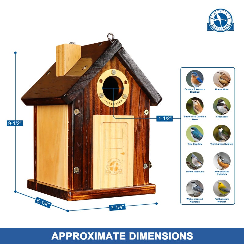 SISTERBIRD Bluebird Houses for Outside, Premium Bird Houses for Outside, Wooden Cabin Birdhouses for Outdoors, Weatherproof Courtyard Decorated Hanging Bird House, Nesting Bird House - Image 3