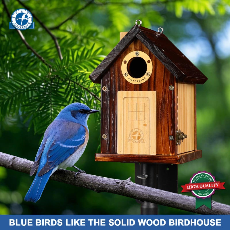 SISTERBIRD Bluebird Houses for Outside, Premium Bird Houses for Outside, Wooden Cabin Birdhouses for Outdoors, Weatherproof Courtyard Decorated Hanging Bird House, Nesting Bird House - Image 2