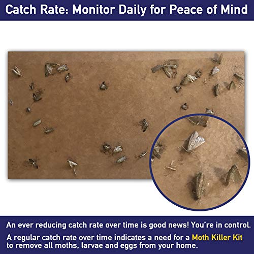 MothPrevention Clothes Moth Trap Replacement Strips (6 Strips in Total) - Refills for MothPrevention Moth Traps - for Closets & Clothing - Image 5