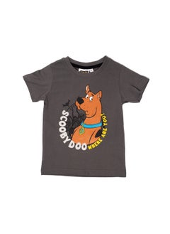 Scooby Doo - T-SHIRT - pzsku/ZB4394F6B23AE25B3A1A1Z/45/_/1720003542/a6b91802-3fbf-486d-9b5a-103df59f921a