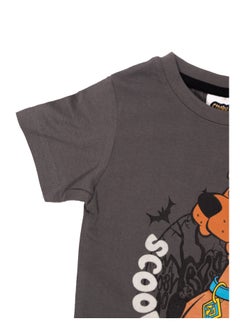 Scooby Doo - T-SHIRT - pzsku/ZB4394F6B23AE25B3A1A1Z/45/_/1720003545/fe111010-ff10-4e63-b4f9-a5b3825b56e3