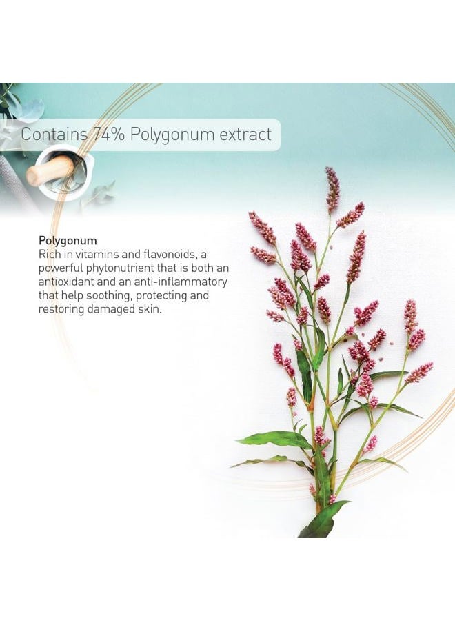 Moraz Pregnancy Body Lotion by Moraz | 5.1 oz | Rich in Herbal Extracts & Natural Oils - Image 3