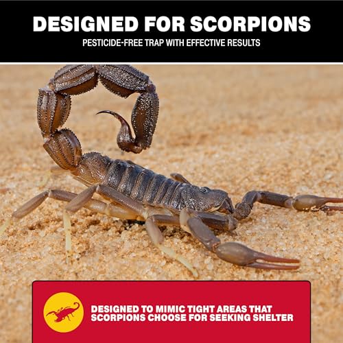 Catchmaster Scorpion Glue Tray Traps 6-Pack, Adhesive Scorpion Killer for Home, Simple Insect Traps Indoor, Sticky Bug Catcher for Kitchen, Garage, & Basement, Pest Control Glue Trap - Image 4