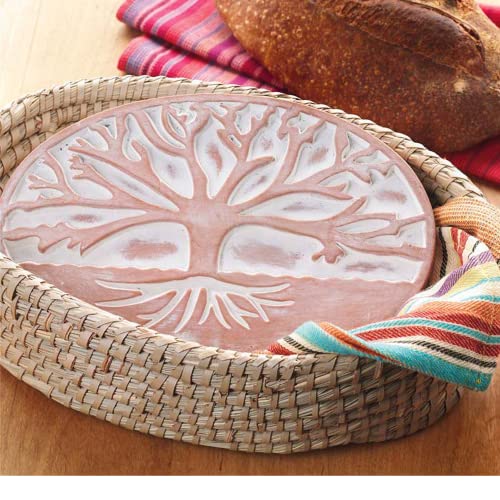 Better World Bio Bread Basket with Terracotta Warmer, Bread Basket for Serving, Sized 12.5" w x 8.5" d x 3.5" h, Nature Inspired Tree of Life Design - Image 2