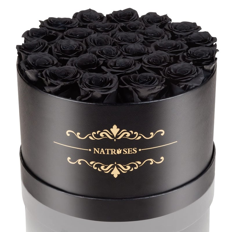 NATROSES 27 Piece Forever Preserved Roses in a Box Preserved Flowers for Delivery Birthday Flowers Gifts for Mothers Day Black