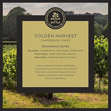 Noble Isle Hand Wash Luxury Hand Wash Liquid Soap For Men Women Organic Vegan Friendly Real Perfume Britain In A Bottle Hand Soap Made In The UK Golden Harvest300ml - Image 2