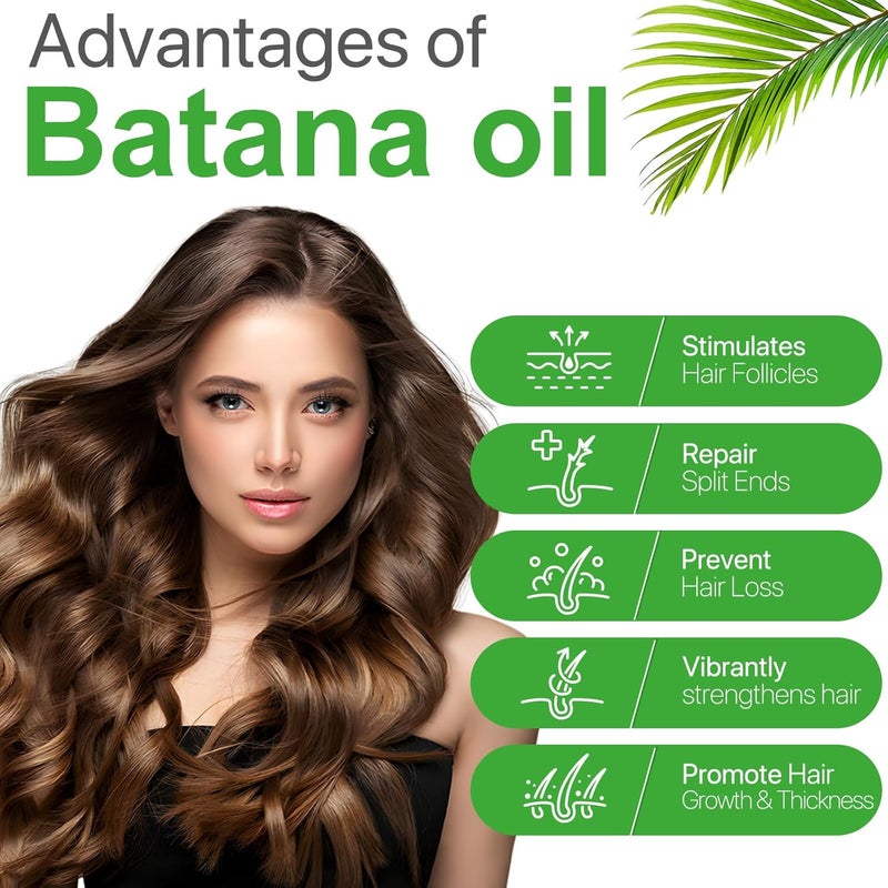 ELBBUB Batana Oil for Hair - Organic Hair Oil for Growth and Repair of Dry, Damaged Hair, Face and Body Care - Image 3