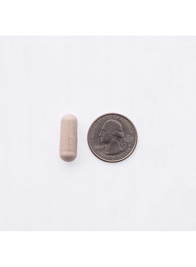 - Ultra Multi Formula With Iron, Multivitamin For Bariatric Surgery Patients, Capsule, 90 Ct