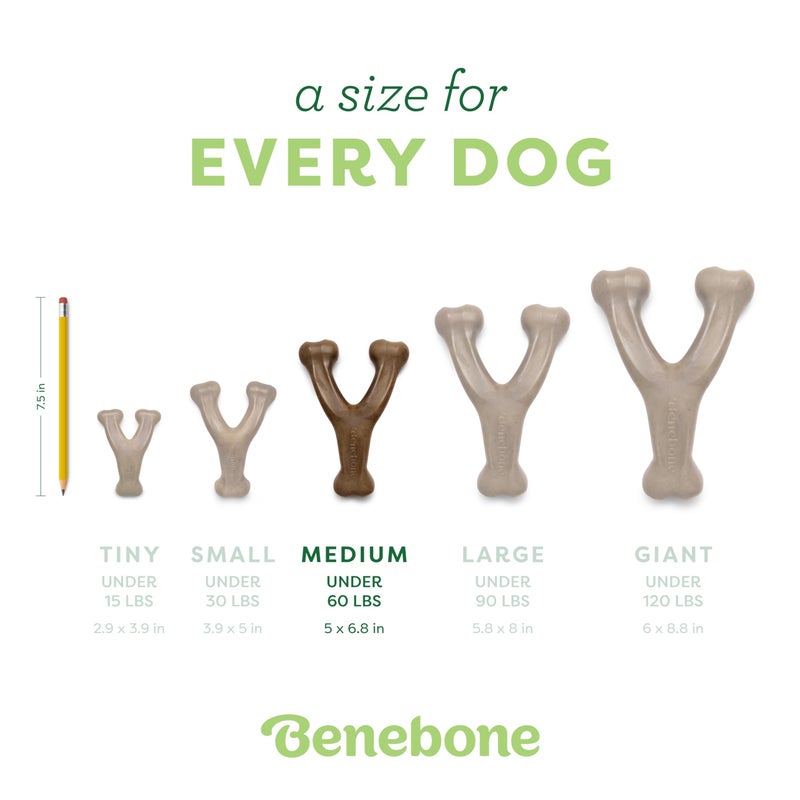 Benebone Wishbone Durable Dog Chew Toy for Aggressive Chewers, Real Bacon, Made in USA, Medium - Image 5