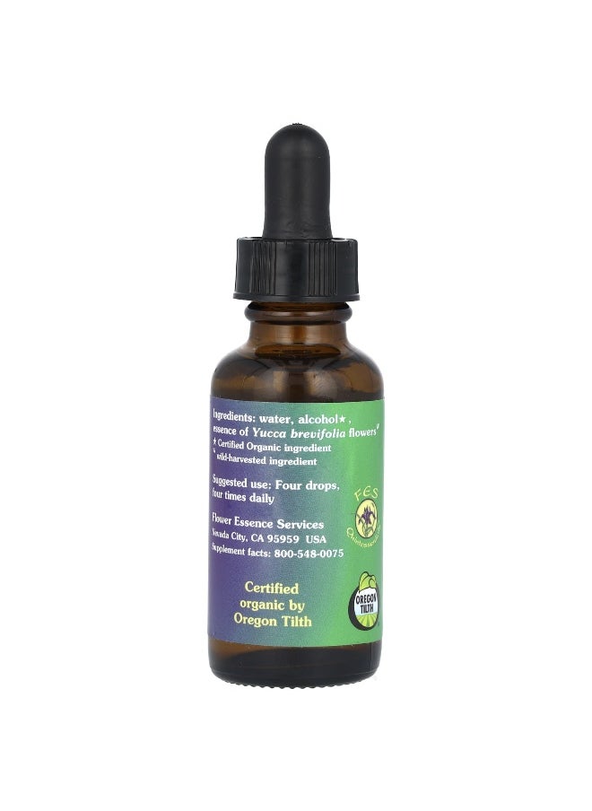 Flower Essence Services Flower Essence Services, Joshua Tree, Flower Essence, 1 fl oz (30 ml)  - Image 2