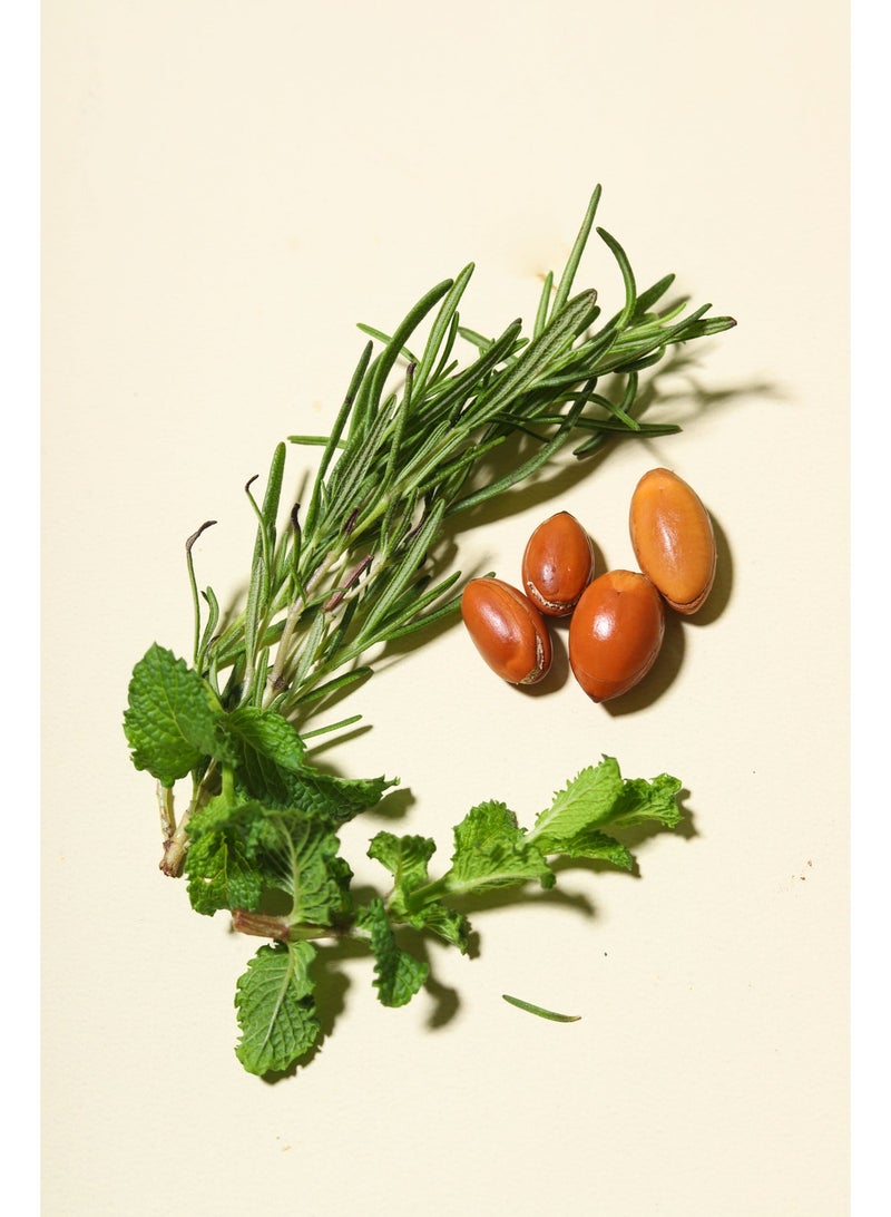 Arganmidas Rosemary Mint Revitalizing Shampoo & Conditioner - Image 3