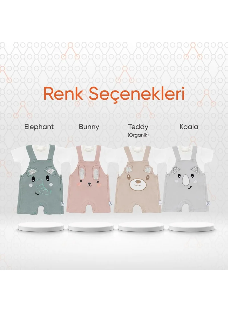 طفل يمشي Hero Short Sleeve Baby T-Shirt & Embroidered Swimsuit Set Koala