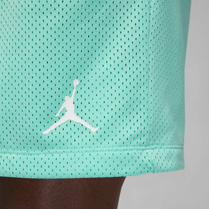 Jordan Men's Flight MVP Mesh Shorts