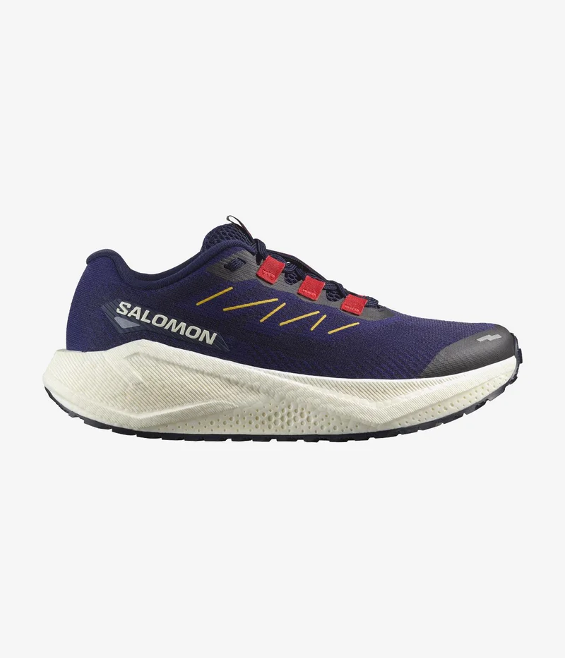 Salomon AERO BLAZE 3 GRVL Low Top Sneaker