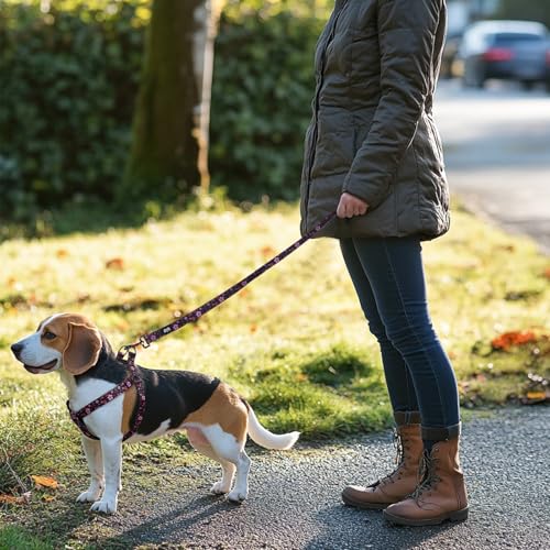 QQPETS Dog Harness Leash Set Adjustable Heavy Duty No Pull Halter Harnesses for Small Medium Large Breed Dogs Back Clip Anti-Twist Perfect for Walking - Image 5