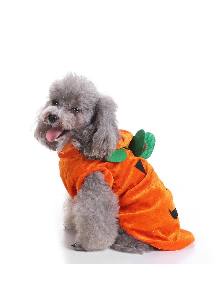 Loquat Pet Costume Bat Wings Dog Outfit SDZ24 pumpkin outfit