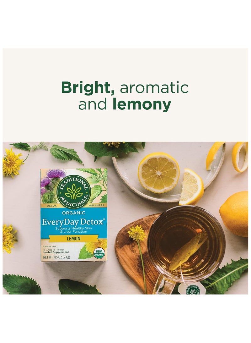 تي ام الأدوية التقليدية، شاي التخلص من السموم، التخلص اليومي من السموم، 16 كيس شاي مغلف، 24 جم - Image 3