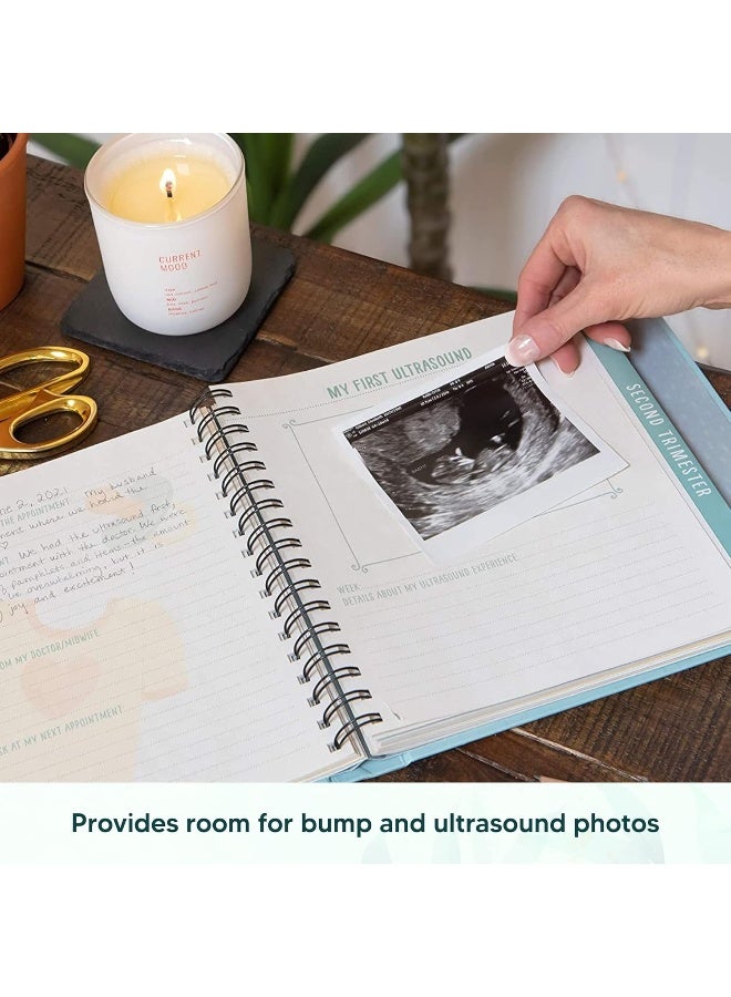 Studio Oh! 86403 Guided Pregnancy Journal, Bump for Joy! - Image 3