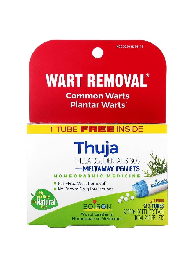 Boiron Boiron, Thuja Occidentalis, 30C, 3 Tubes, 80 Pellets Each - Image 1