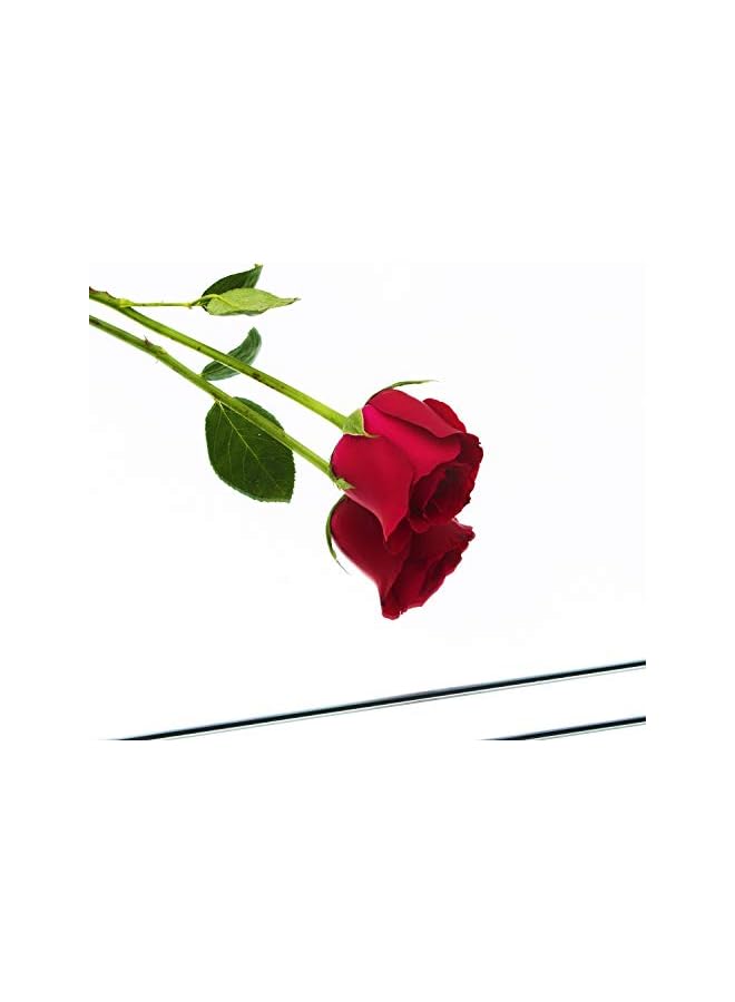 The Bros Full Length Mirror Tiles - 12 Inch x 4Pcs Frameless Wall Mirror Set Make Up Mirror for Home Gym Vanity Bedroom, Living Room - Image 4