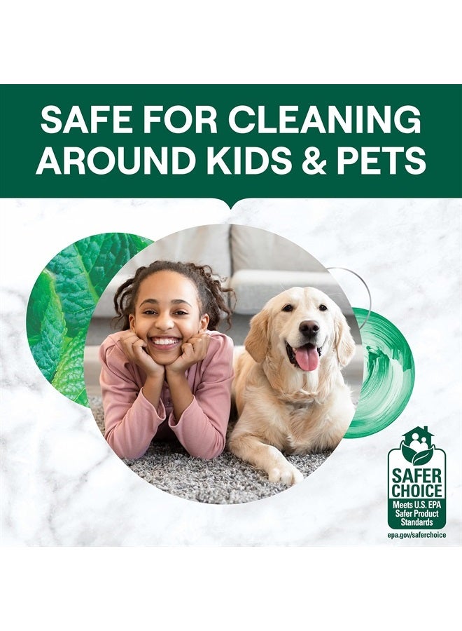 Seventh Generation Multi-Surface Wipes, Garden Mint scent, 70 ct, Pack of 6 - Image 4