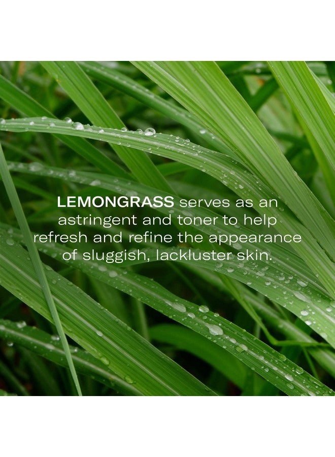 أوداسايت سيروم مُركّز لتفتيح البشرة من أوداسيتي، بخلاصة الشاي الأخضر وعشب الليمون، لبشرة مُشرقة - مُركّز زيت الوجه المُضاد للشيخوخة، خفيف الوزن، مُرطّب ومُشرق، للبشرة المُرهقة والباهتة - 0.17 أونصة سائلة - Image 4