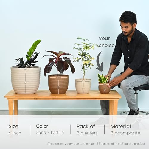 Eha Set of 2 Earth-Friendly 4" Verona Pots and Planters | Bamboo Based Table Planter for Office | UV Protected |Plant Pots for Indoor & Home Decor,Balcony & Garden | Sand-Tortilla - Image 2