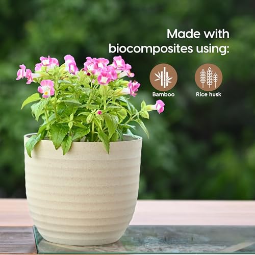 Eha Set of 2 Earth-Friendly 4" Verona Pots and Planters | Bamboo Based Table Planter for Office | UV Protected |Plant Pots for Indoor & Home Decor,Balcony & Garden | Sand-Tortilla - Image 3