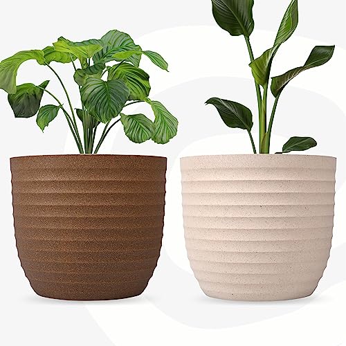 Eha Set of 2 Earth-Friendly 4" Verona Pots and Planters | Bamboo Based Table Planter for Office | UV Protected |Plant Pots for Indoor & Home Decor,Balcony & Garden | Sand-Tortilla - Image 1