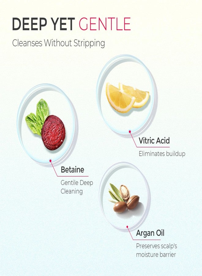 تايمو شامبو TYMO المنقي للنساء - شامبو بتركيبة طبيعية للشعر الدهني، يزيل التراكمات، ينظف بعمق، ينظف الشعر وفروة الرأس، خالي من البيوتين والكبريتات، 3.5 أونصة، يزيد من كثافة الشعر ويصلحه - زيت الأرغان - Image 4