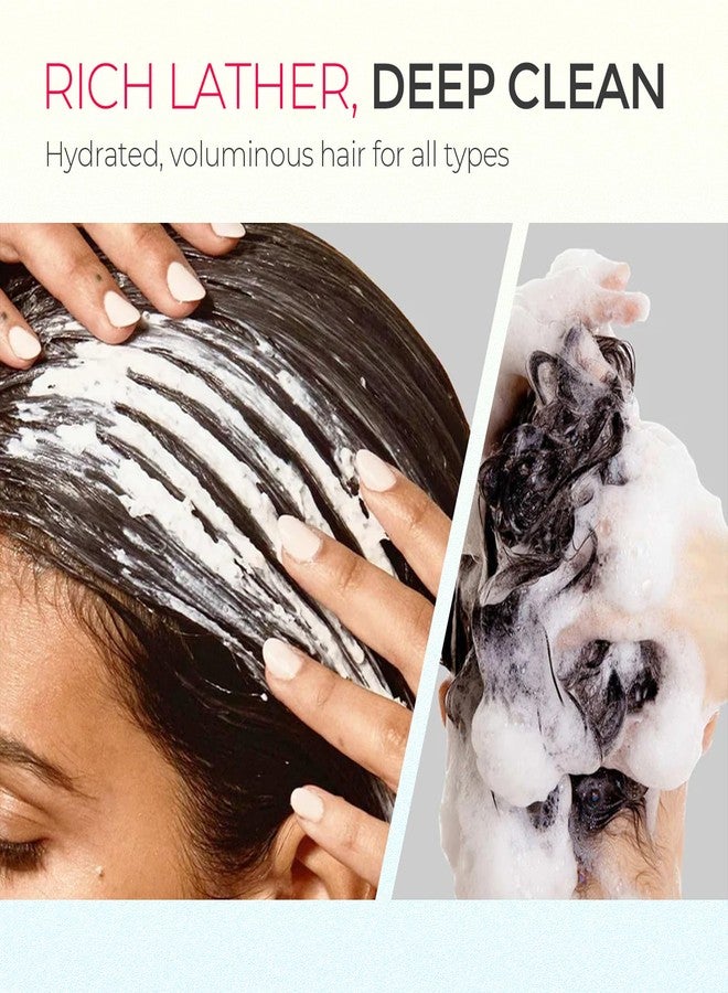 تايمو شامبو TYMO المنقي للنساء - شامبو بتركيبة طبيعية للشعر الدهني، يزيل التراكمات، ينظف بعمق، ينظف الشعر وفروة الرأس، خالي من البيوتين والكبريتات، 3.5 أونصة، يزيد من كثافة الشعر ويصلحه - زيت الأرغان - Image 2