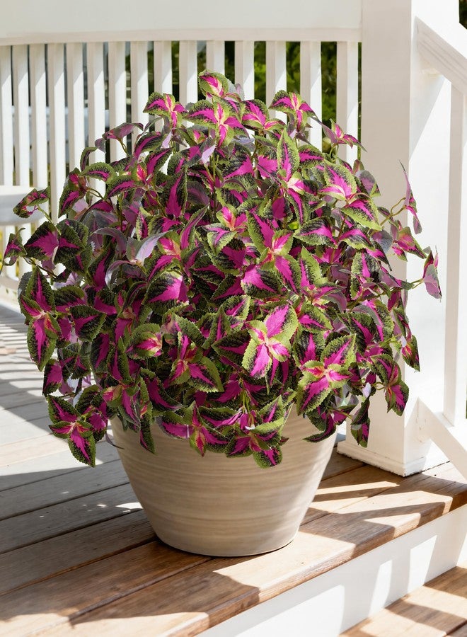 florisso Artificial Greenery Plants Outdoor, Faux Plants UV Resistant Silk Plants with Stems, Coleus Fake Plants for Outside Garden Patio Hanging Planter Pathway Front Porch Decoration(Red) - Image 1