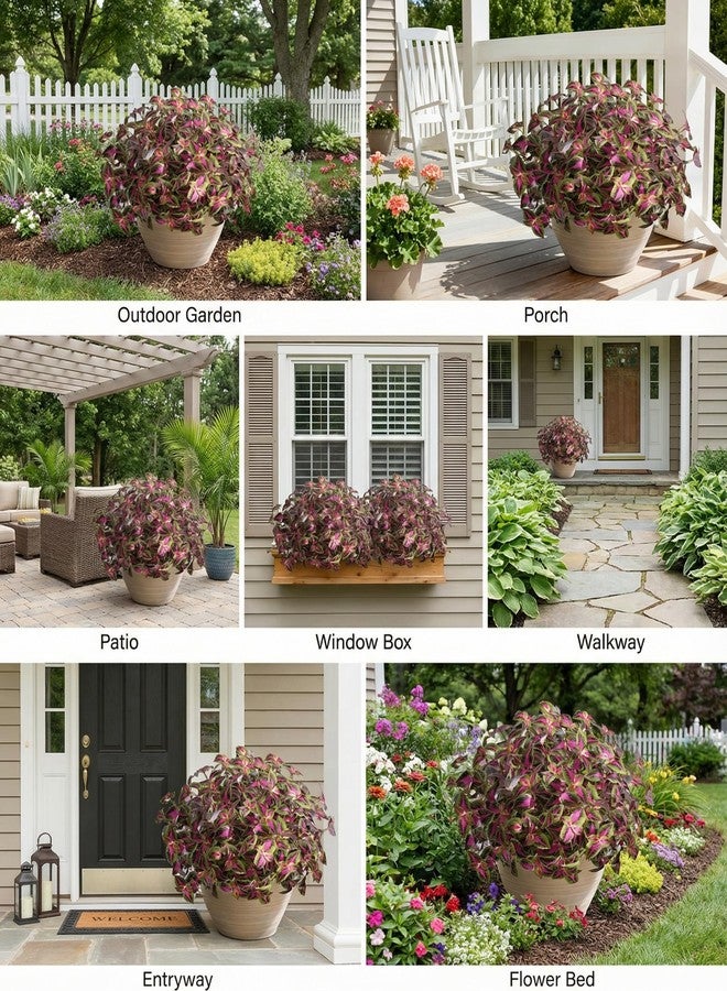 florisso Artificial Greenery Plants Outdoor, Faux Plants UV Resistant Silk Plants with Stems, Coleus Fake Plants for Outside Garden Patio Hanging Planter Pathway Front Porch Decoration(Red) - Image 2