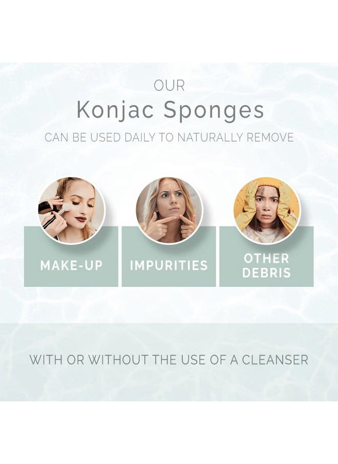 Wildpier - Beauty Konjac Sponge, Natural Luxury Facial Exfoliator, Face Scrubber, Makeup Remover, Plant Based Gentle Cleansing for Sensitive Skin, Removes Dead Skin Cells, White - Image 1