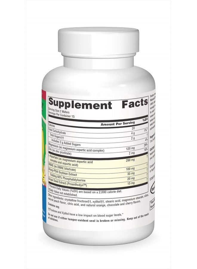 Source Naturals رقائق قابلة للمضغ للأطفال لدعم عملية التمثيل الغذائي في الدماغ - 30 رقائق فواكه - Image 3