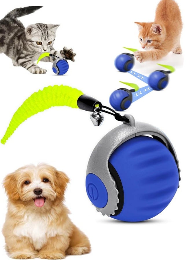 Interactive Cat Ball Speed Tail 3.0 Pet Toy Rolling Ball Interactive Toys 360° Smart Automatic Dog Kitten Toy USB Recharge Turbo Tail Electronic Bouncing Balls Orange Gift for Adult Cats Kittens Dog,Blue - Image 1