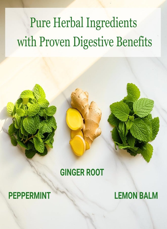 Nutri-Align Ease the Quease Herbal Tea for GLP-1 Wellness | Gentle Support for Digestive Comfort and Overall Well-Being with Soothing Ginger, Peppermint & Lemon Balm | 20 herbal teabags - Image 3