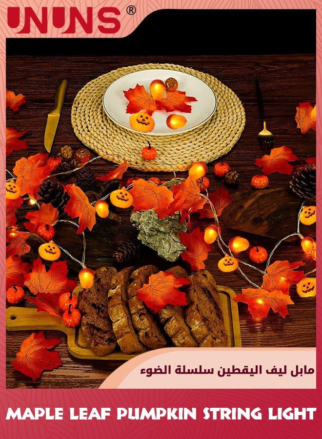 UNUNS Maple Leaf String Light,Maple Leaves Fairy Lights,2 Meter 10 LED Fall Decor Lights With 2 Modes,Battery Operated,Thanksgiving  Autumn Harvest Garden Home Room Light - Image 1