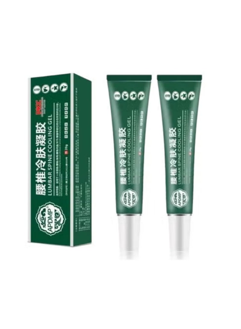 Lumbar Spine Cooling Gel 2PCE