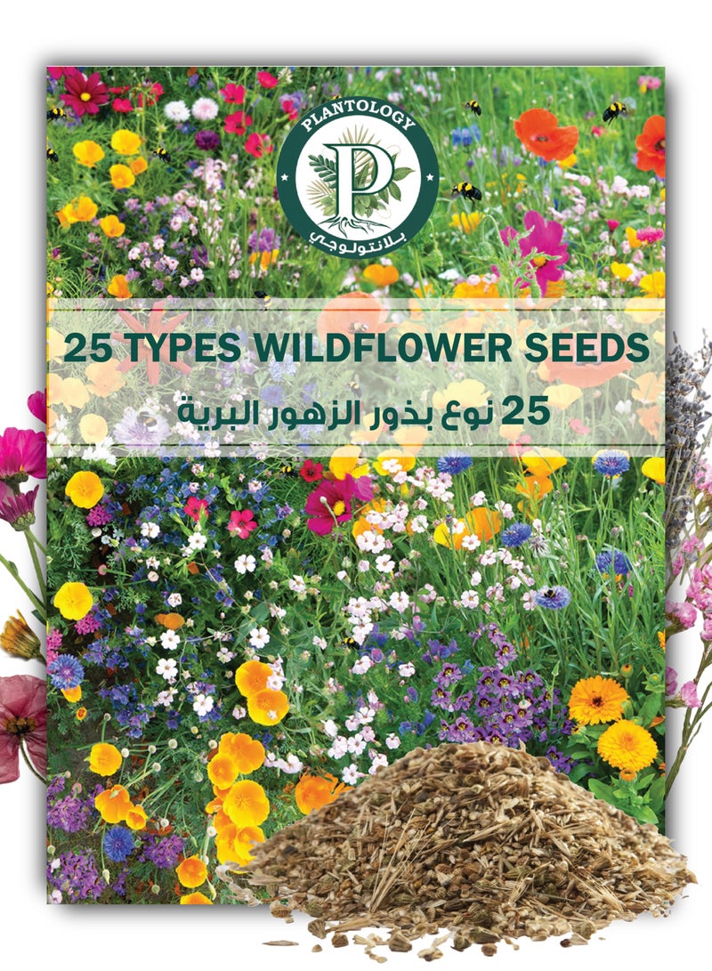 Generic Wildflower Seeds Mix, 25 Varieties - Annual Flowers Seeds for Planting  - Image 1