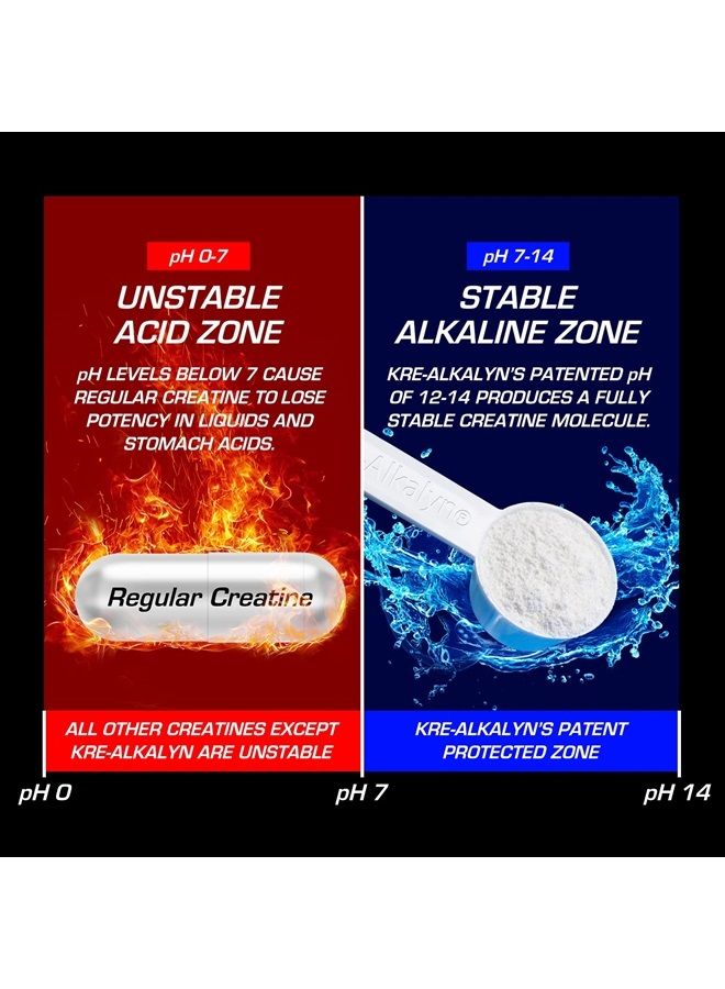 EFX SPORTS Kre-Alkalyn EFX Powder | pH Correct Creatine Monohydrate Powder Supplement | Strength, Muscle Growth & Performance | 110 Servings (Mango) - Image 5