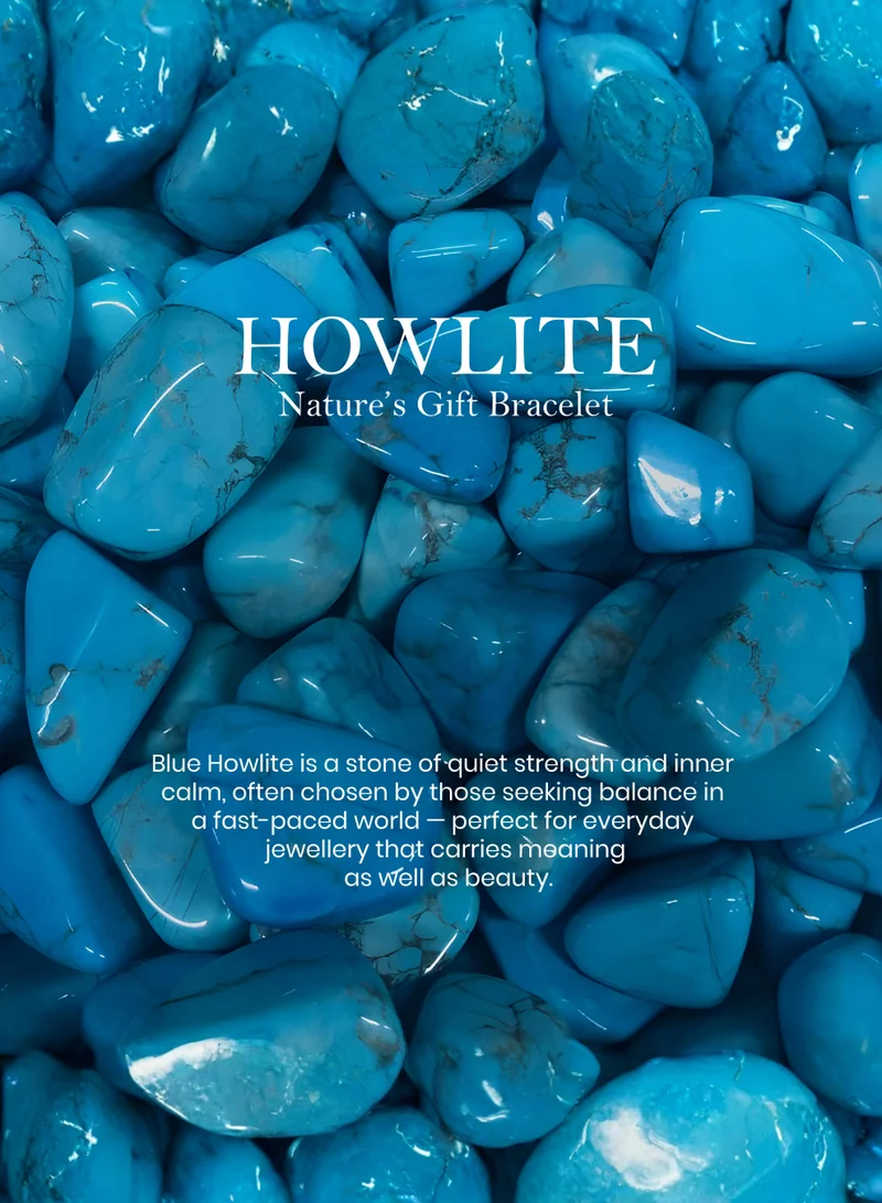 British Fossils قلادة هدية الطبيعة بالهاولايت