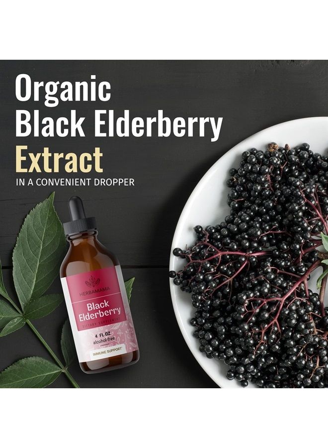 HERBAMAMA Elderberry Liquid Extract - Organic Black Elderberry Cough Drops Supplements - Elderberry Tincture for Adults - Alcohol-Free Vitamins - Vegan - 4 fl oz - Image 5