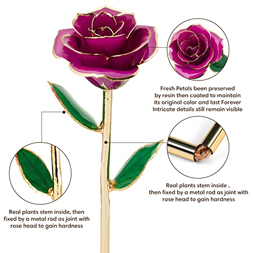 Anthonic Gold Dipped Infinity Rose Last Forever Flower Decor, Birthday Gift for Women in Her Birthday Mothers Day, Resin Preserved Rose | Anniversary Present for Mom (Purple) - Image 3