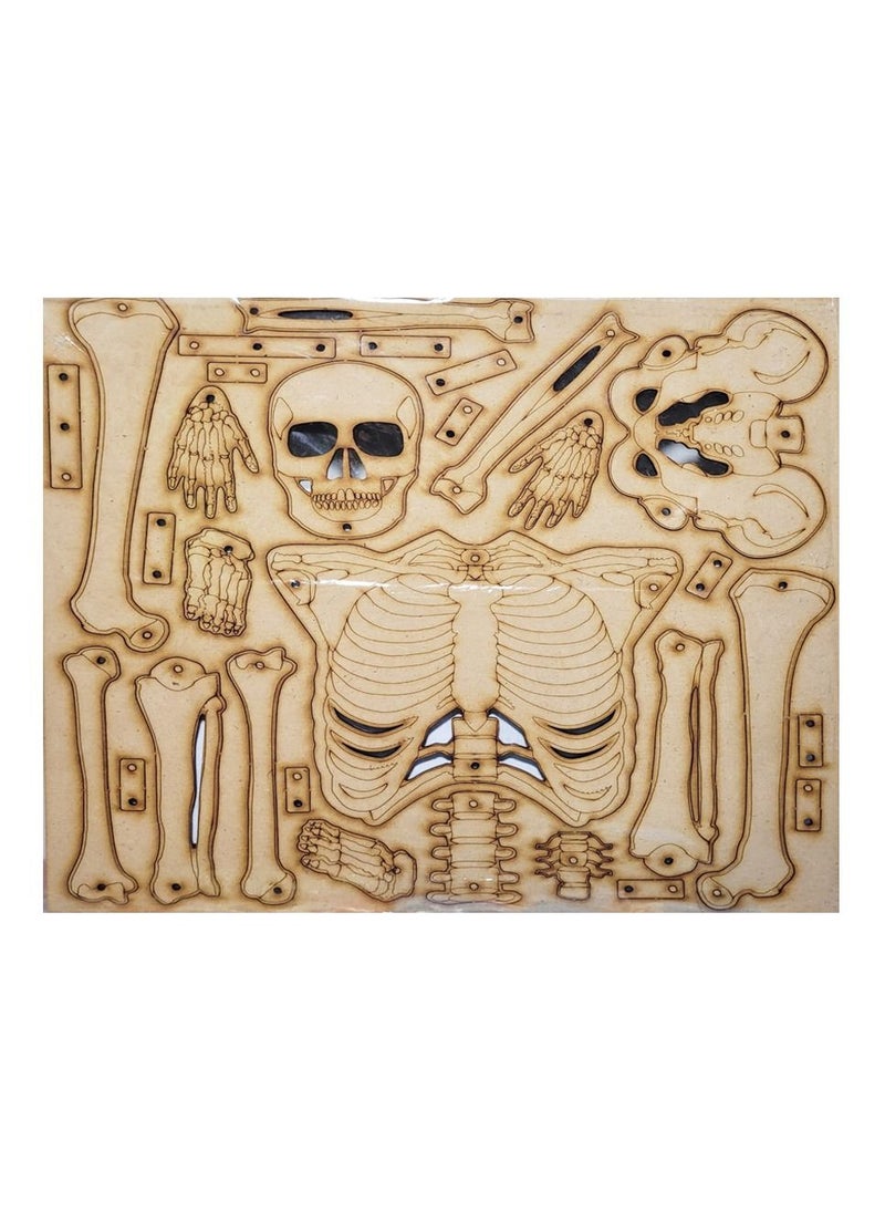 Toys 3D Puzzle The skeleton Big  - Image 3