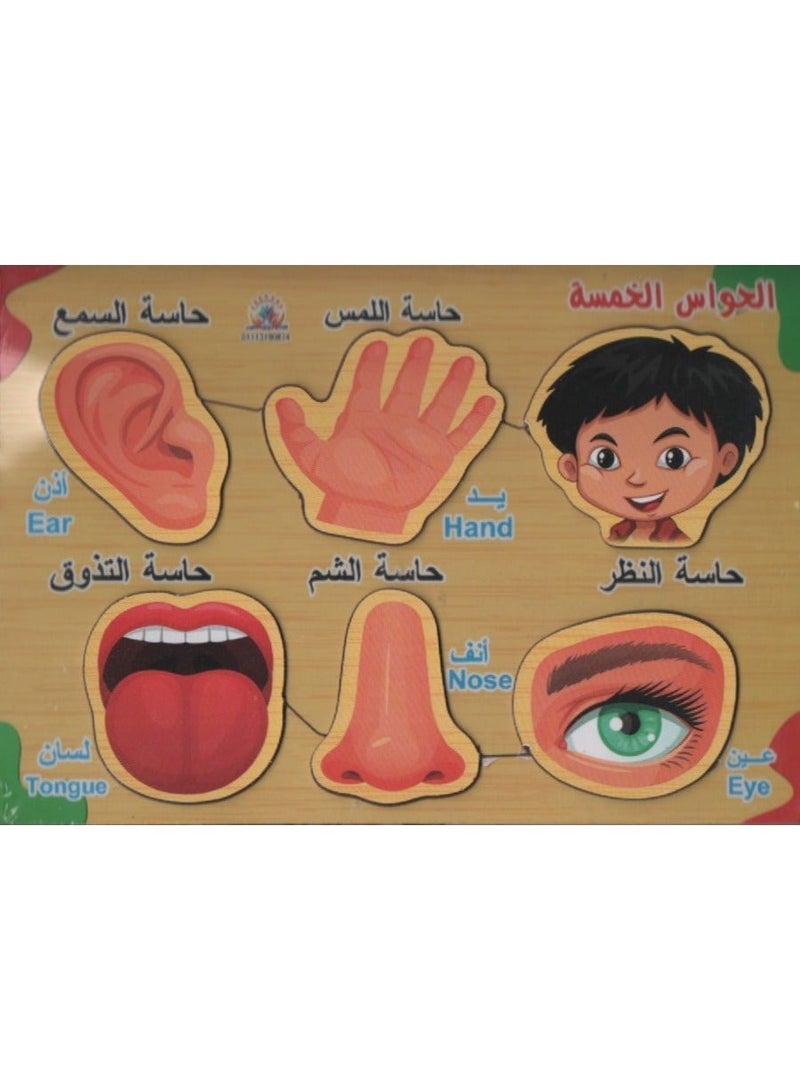 تويز بازل خشب الحواس الخمسة 6 قطع - Image 2