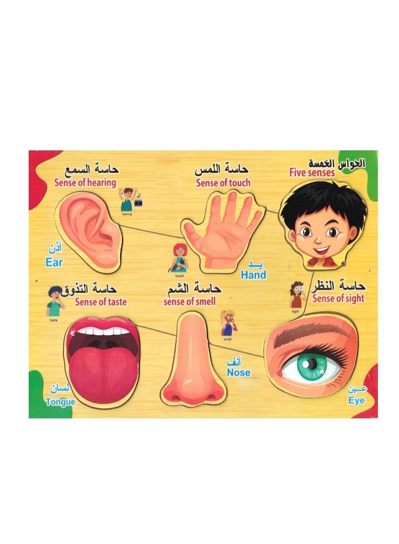 تويز بازل خشب الحواس الخمسة 6 قطع - Image 1