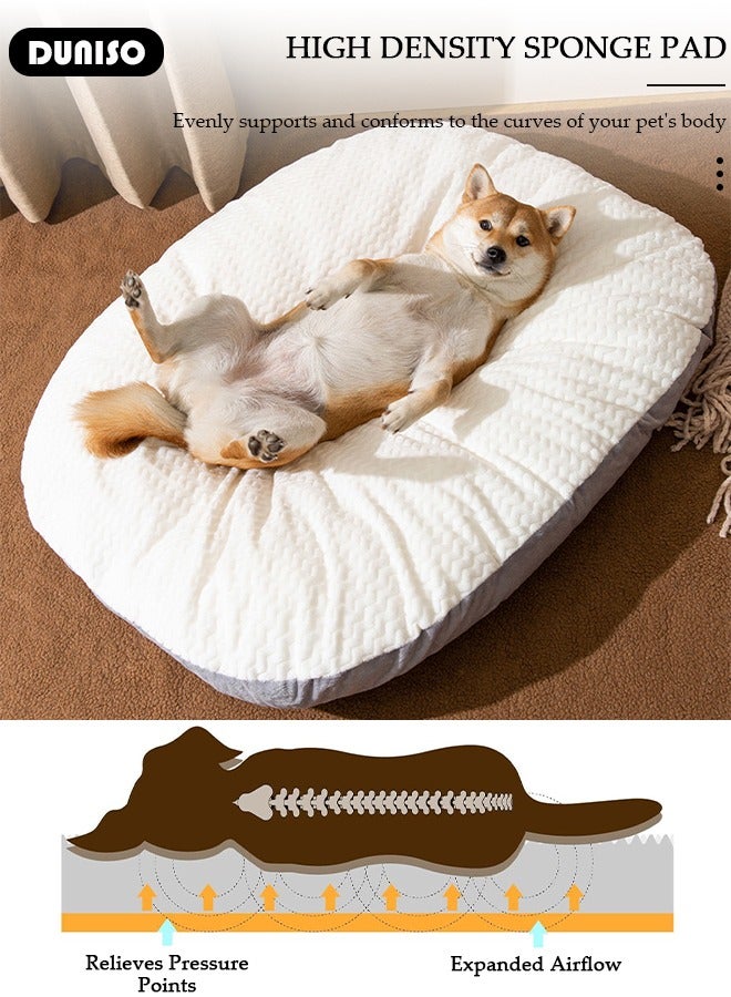 DUNISO Dog Bed, Non-Slip Pet Sofa Lounger Puppy Couch Removable Machine Washable Cover Cushion Big Cat Kennel Cot, Medium Large Adult Dogs Kitten Sleeping Mattress - Image 2